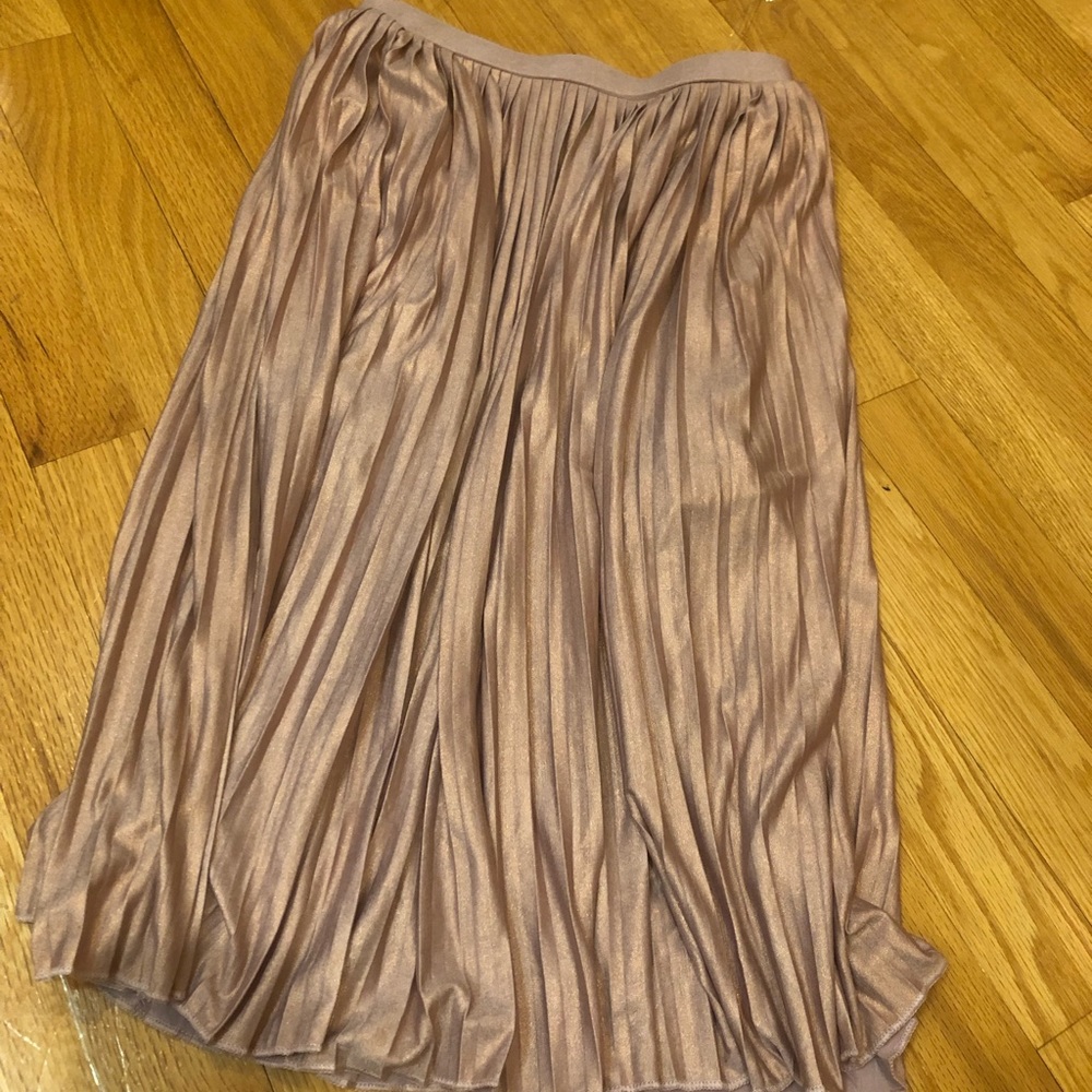 Pleated Skirt